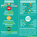 Shopping Guide Info Graphic