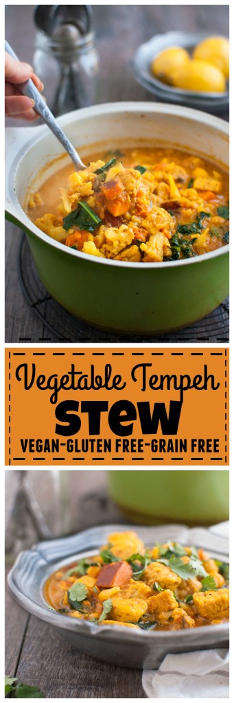 Vegetable Tempeh Stew #vegan #glutenfree #grainfree