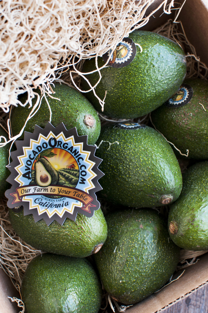 Eat an Avocado a Day with AvocadoOrganic