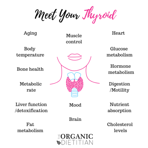 Thyroid healing naturally: What you need to consider - The Organic ...